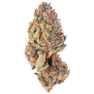 Sorbet