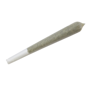 Tropical Runtz 1.5g Preroll