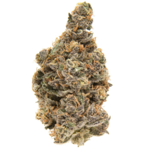 Blueberry Muffin OZ Special