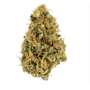 Durban Poison – Premium