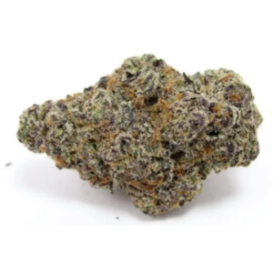 Glitter Bomb OZ Special