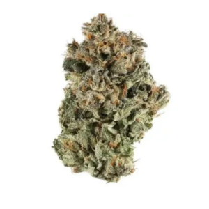 Sunset Sherbert – Top Shelf