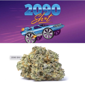 2090 Shit